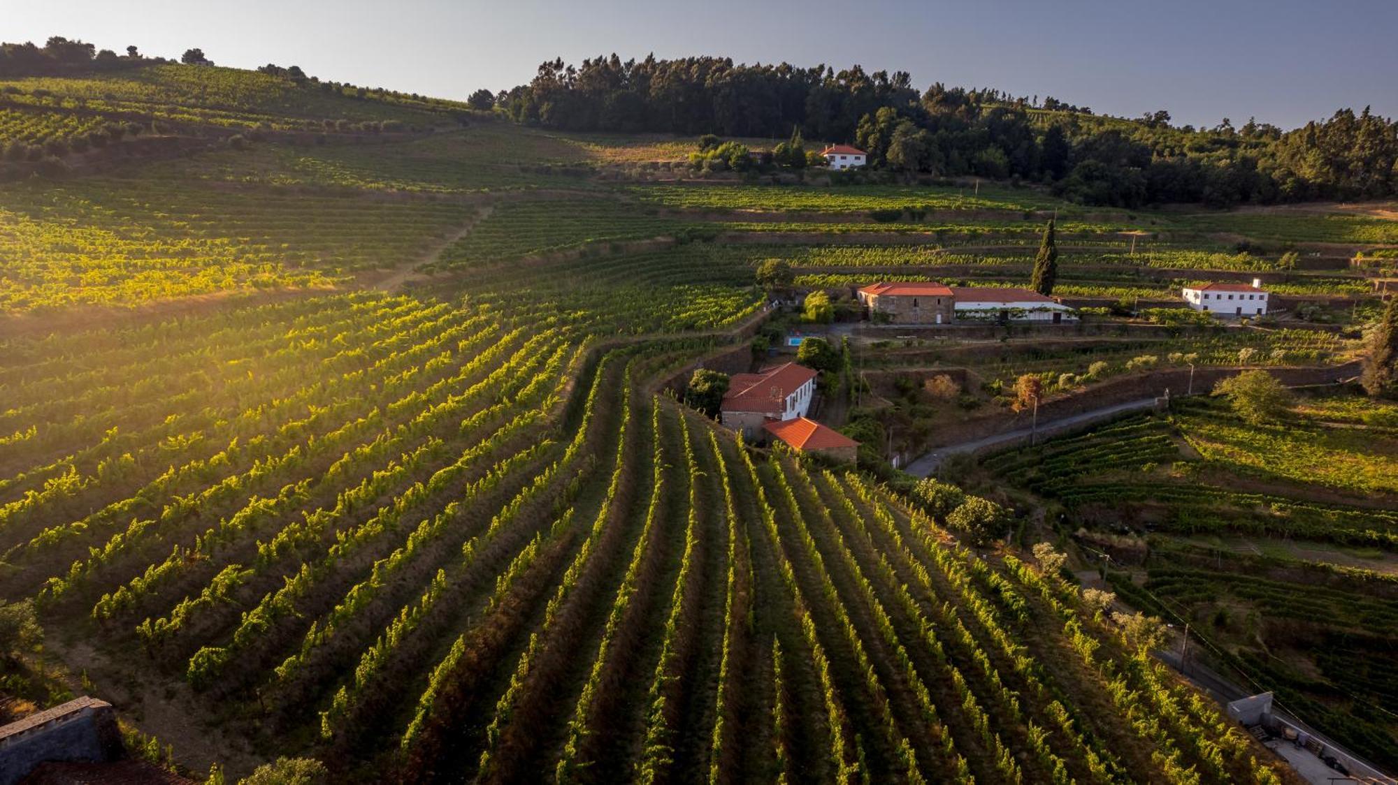 Quinta De Sobre A Fonte Charming
